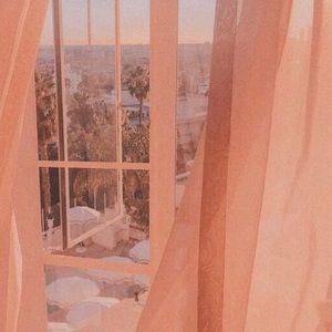 white american eagle jeans